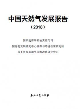 中國天然氣發(fā)展報告（2018）白皮書中英文版
