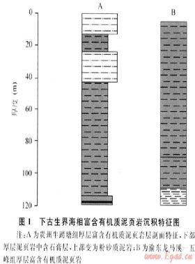 我國富含有機質(zhì)泥頁巖發(fā)育特點與頁巖氣戰(zhàn)略選區(qū)