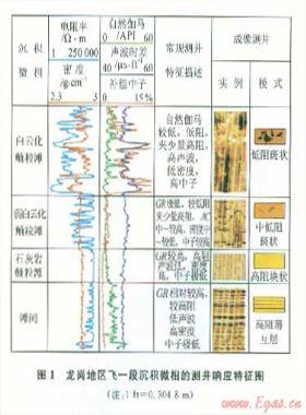 龍崗地區(qū)飛仙關(guān)組鮞粒灘微相的地震—地質(zhì)綜合預測