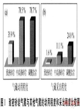 中國非常規(guī)天然氣資源基礎(chǔ)與開發(fā)技術(shù)