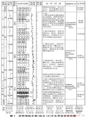 濟(jì)陽坳陷中生界烴源巖生烴演化